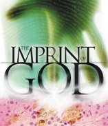 Imprint of God