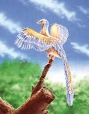 archaeopteryx rendered
