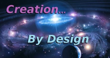 creation by design